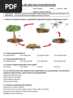 Guía Fotosíntesis