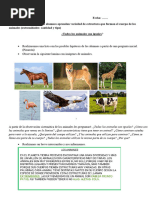 Planificación de Animales Primer Grado Lucila 2024