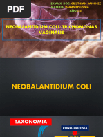 Neobalantidium Coli-Trichomonas Vaginalis