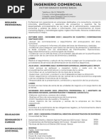 Curriculum Vitae IA