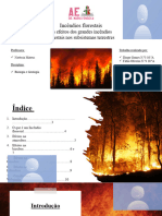 Incêndios Florestais