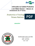 Anatomia e Fisiologia - Lucio Deo