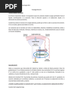 Fisiología Renal III