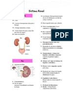 Resumo Sistema Renal