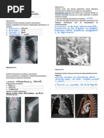 Guia Practica #1 1