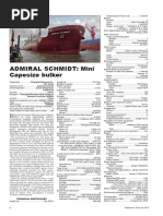 ADMIRAL SCHMIDT Mini Capesize Bulker