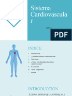 Sistema Cardiovascular