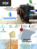 ECOCELTA