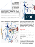 CIRROSIS