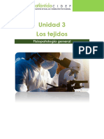 UD3. Los Tejidos