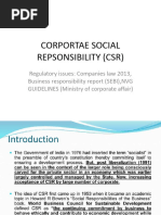 CSR and Regulatory Issues