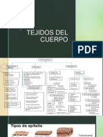 Piel y Membranas Coorporales