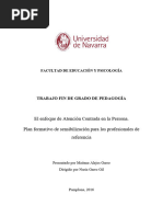 El Enfoque de Atención Centrada en La Persona