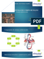 Aula 10 Cardiovascular Erico 2024 1