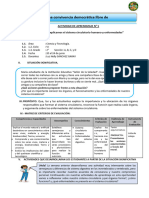 Explicamos El Sistema Circulatorio Humano y Enfermedades