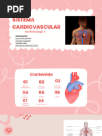 Sistema Cardiovascular