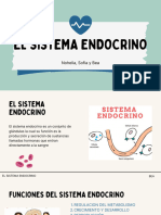 Power Point Monografia Sistema Endocri