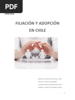 Informe Filiación y Adopción en Chile