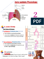 2- الجاهزة20.02.2022 lower Respiratory system physiology