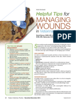 Wound Healing TVP