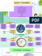 Exposicion Subgrupo-F-Clostridium