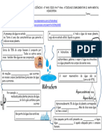 Atividade Complementar 12 Mapa Mental Hidrosfera