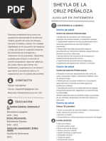 Curriculum Vitae Profesional Mujer Con Iconos Moderno Beige y Blanco