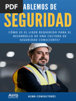 Líder de Seeguridad