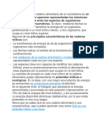 La Cadena Trófica o Cadena Alimentaria de Un Ecosistema