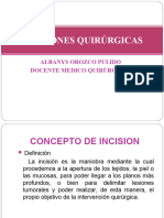 Incisiones Quirúrgicas Albanys Orozco 2024 1