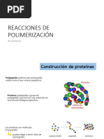 2.5.5.3 - 2.5.5.4 Polimerizaci-N y Ensamblaje