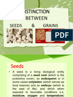 4th Distinction Between Seed and Grain