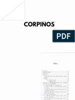 CORPIÑOS