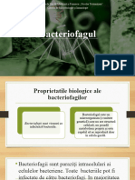 Bacteriofagul