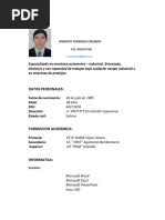 Curriculum Vitae Roberto Yupanqui