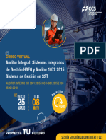 Auditor Interno HSEQ