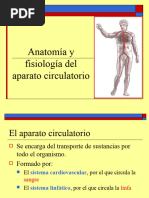 Aparato Circulatorio