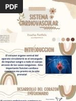 Sitema Cardiovascular Javier Vidal 210