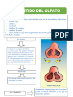 Sentido Del Olfato para Segundo Grado de Primaria