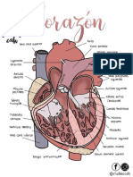 Cardio Resumen