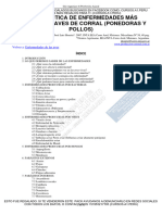 Identificar Enfermedades de Pollos