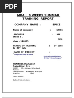 Mba: 8 Weeks Summar Training Report: Company Name: Spice