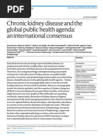 Chronic Kidney Disease and The Global Public Health Agenda - An International Consensus