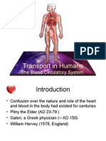 Chapter 8 - Transport in Mammals