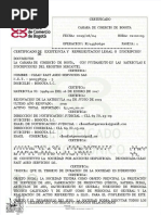 PDF Plantilla Certificado Camara y Comercio de Bogota