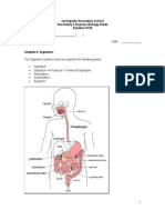 Chapter 6 Digestion - Lecture Notes