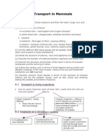 Chapter 8 Transport in Mammals - Lecture Notes