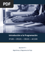 Apunte 1 - Introducción A La Programación