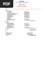 Standard Balance Sheet