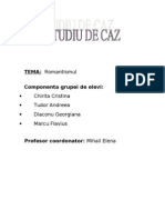 Studiul de Caz